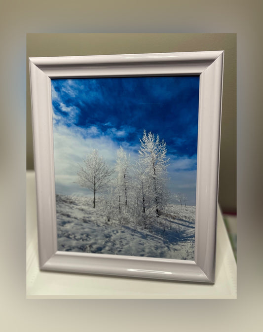 Snow tree framed photograph